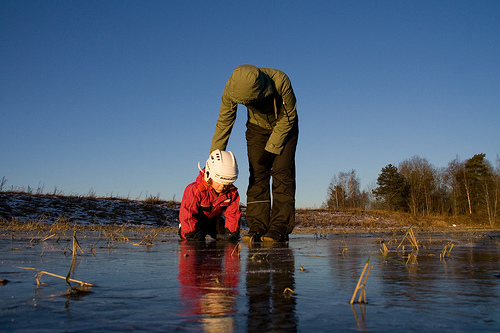 Liberal Party On Ice