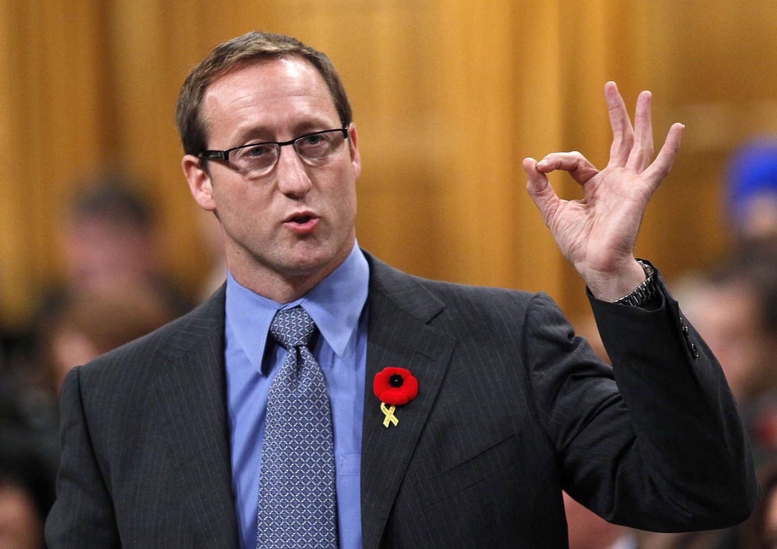 Peter MacKay, in context