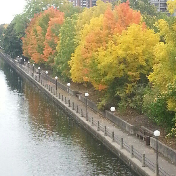 Canal colours. #ottawa #nofilter