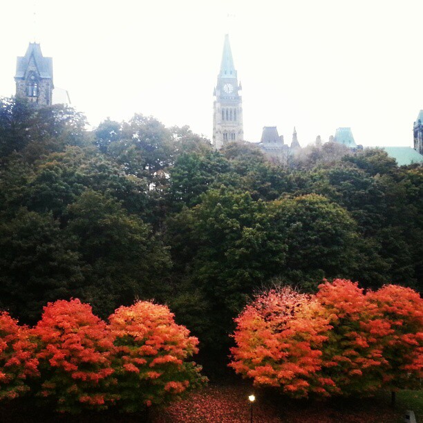 Beautiful Parliament Hill. Fall colours.