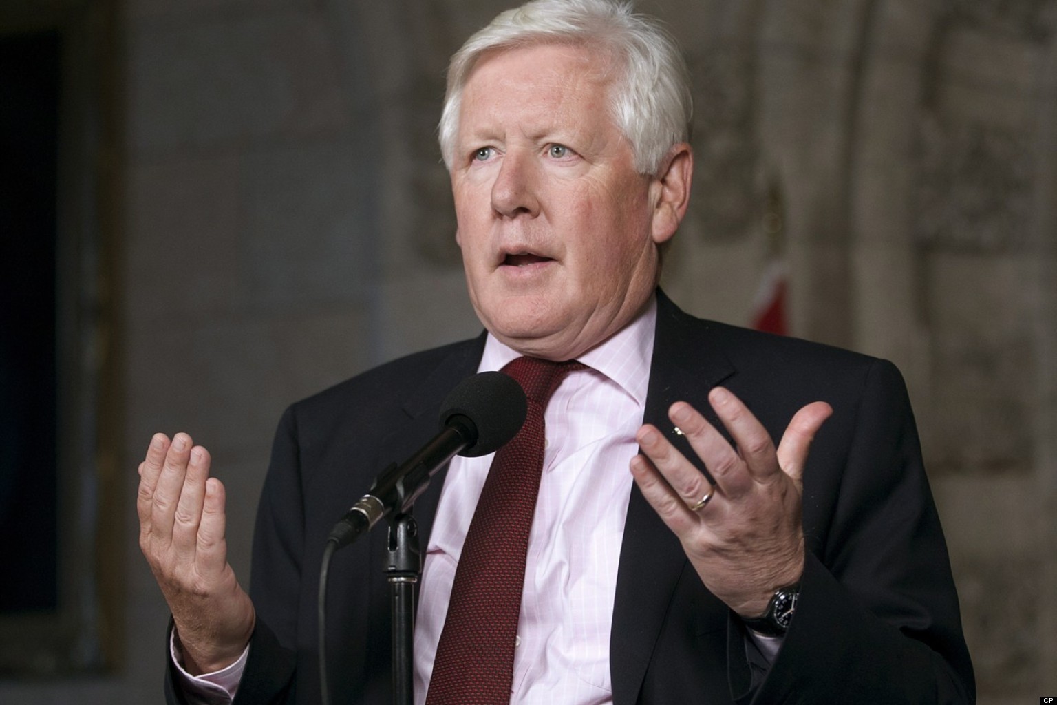 Bob Rae resigns, who will replace him in Toronto Centre?